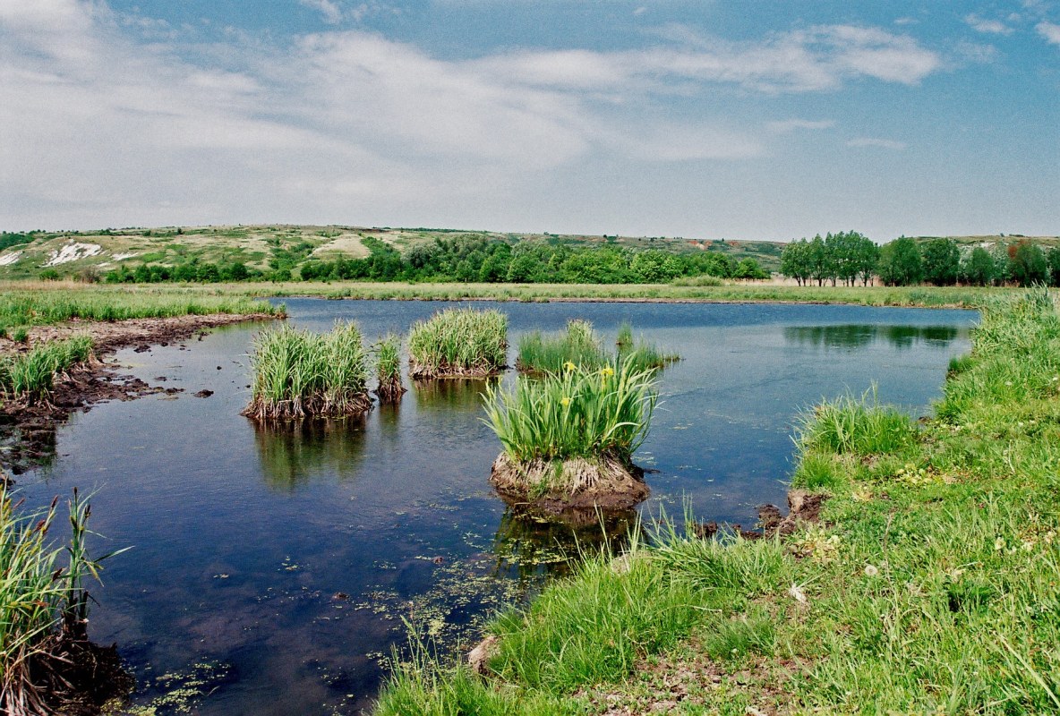 фото - Егор Гребенюк