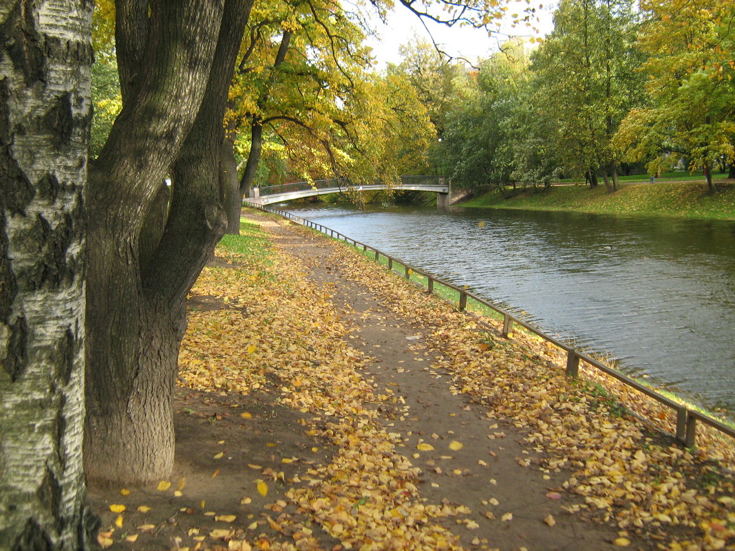 Осень - Светлана 