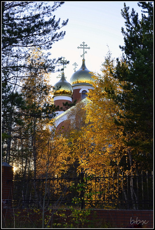 Вечерний свет - Василий Хорошев