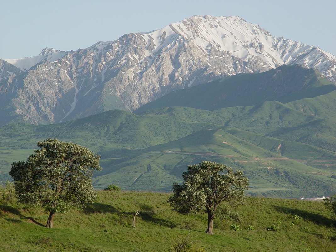 Чимганские горы Узбекистан