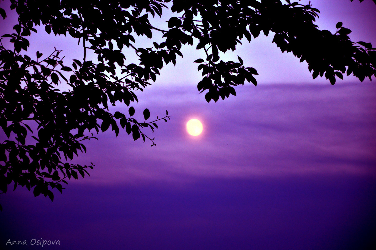 Луна на закате - ASeOs™ Anna Osipova