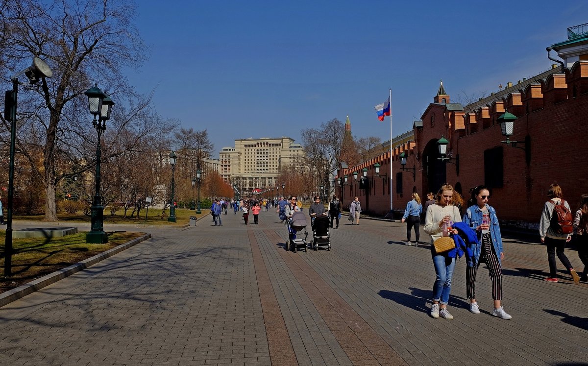 Александровский сад - Михаил Рогожин