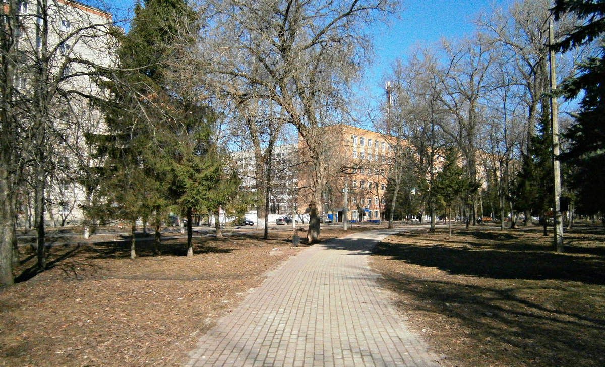 Весна в парке - MarinaKiseleva 