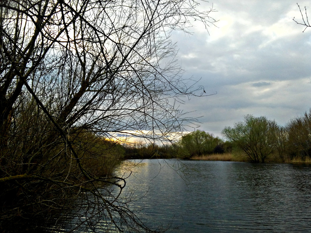 Весенний речной пейзаж - Татьяна Королёва