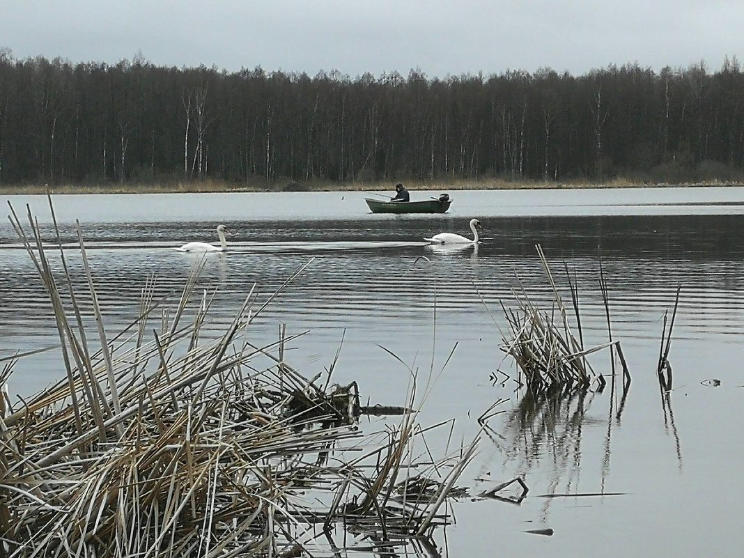 Весна - Oleg 