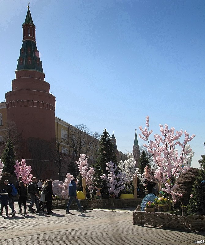 Цветы у стен Кремля - san05 -  Александр Савицкий