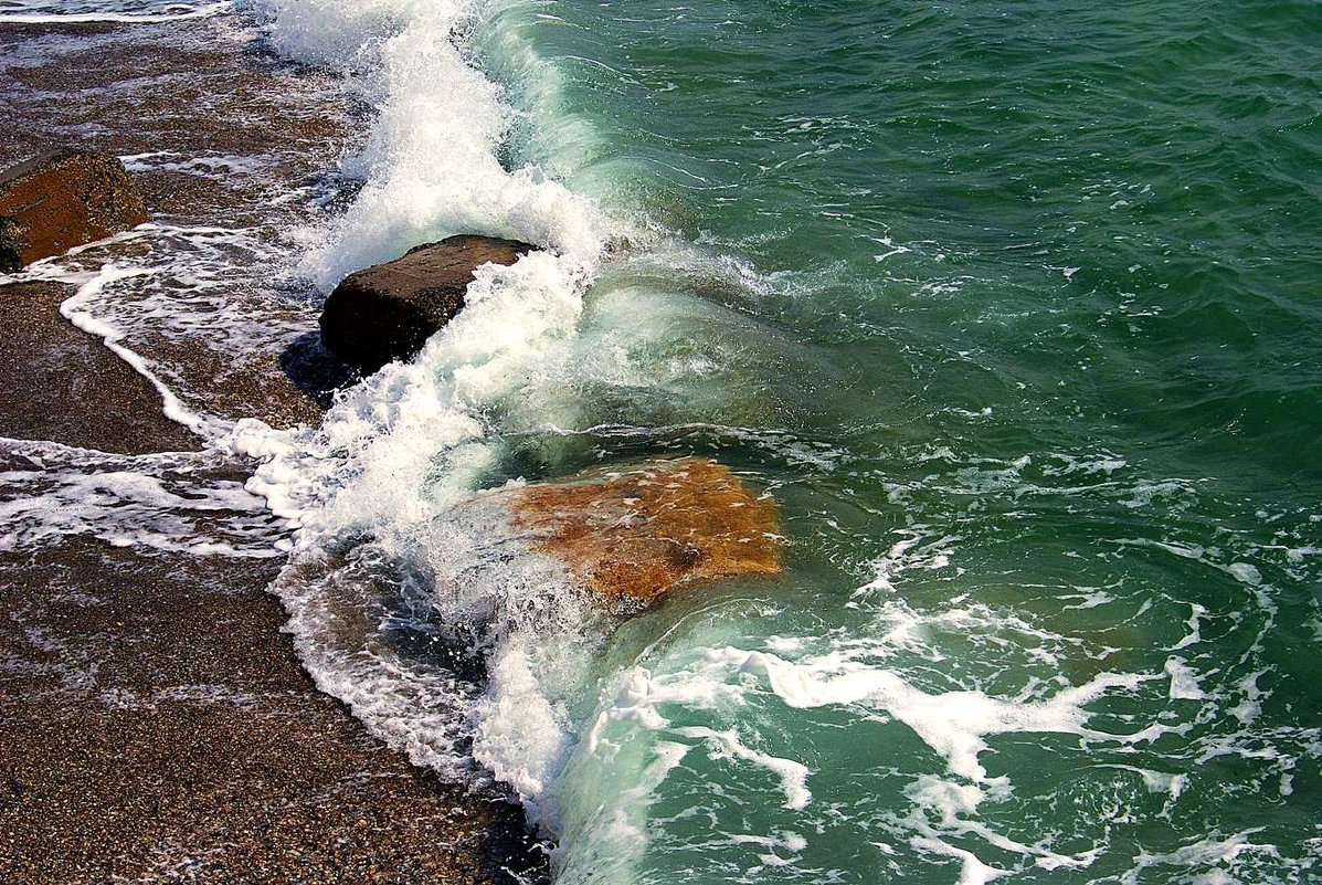 прогулки к морю - Александр Корчемный