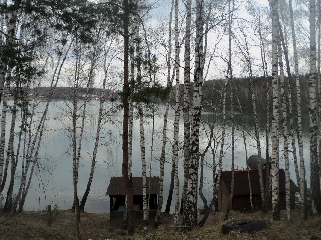 Заброшенная красота озера Рица в Подмосковном городе Дзержинский. - Ольга Кривых