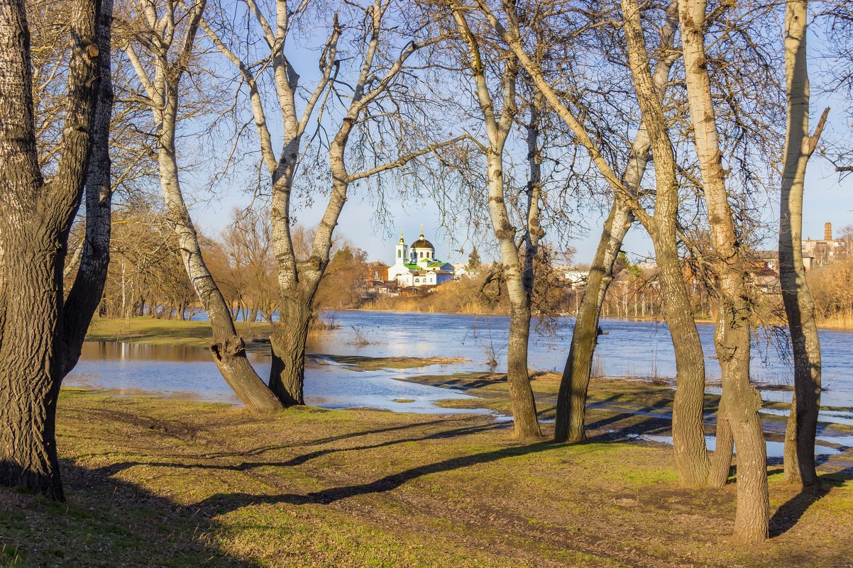 Весенний разлив. - Валентина Домашкина