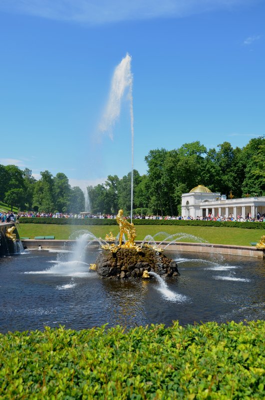 В парке - Ольга Соловьева