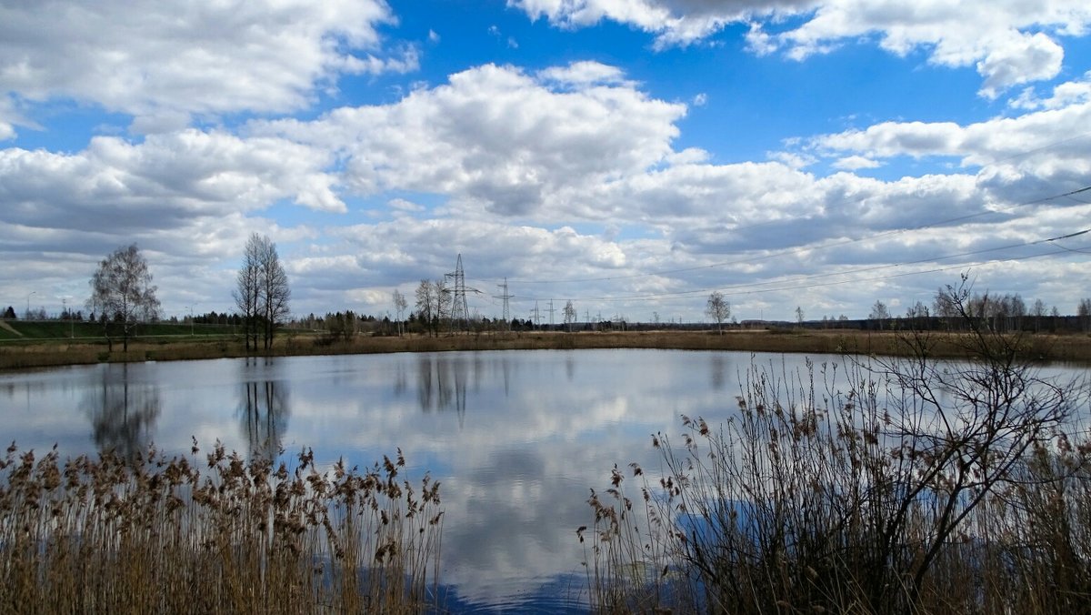 Весна на озере - Милешкин Владимир Алексеевич 