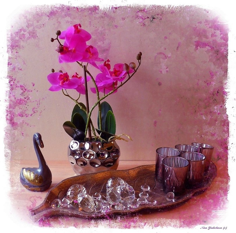 Лебедь и орхидея - Nina Yudicheva