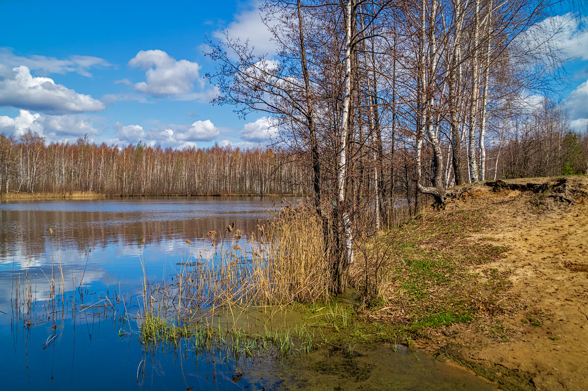 Облака над озером - Андрей Дворников
