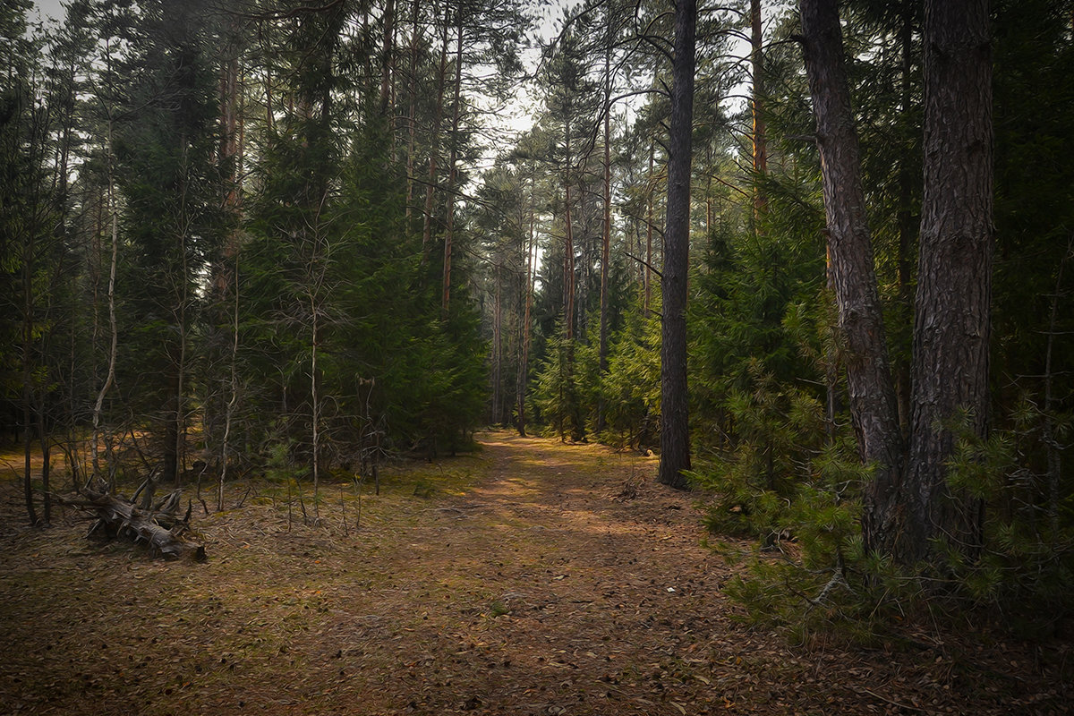 В весннем лесу - Алексей (GraAl)