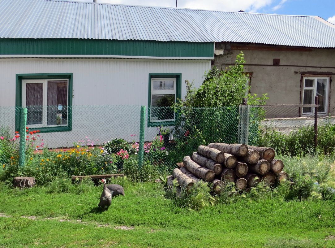 Дом в Белорецке - Вера Щукина