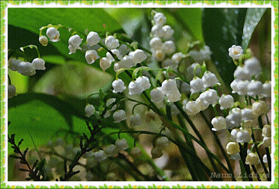 Весенний запах красоты - Лидия (naum.lidiya)