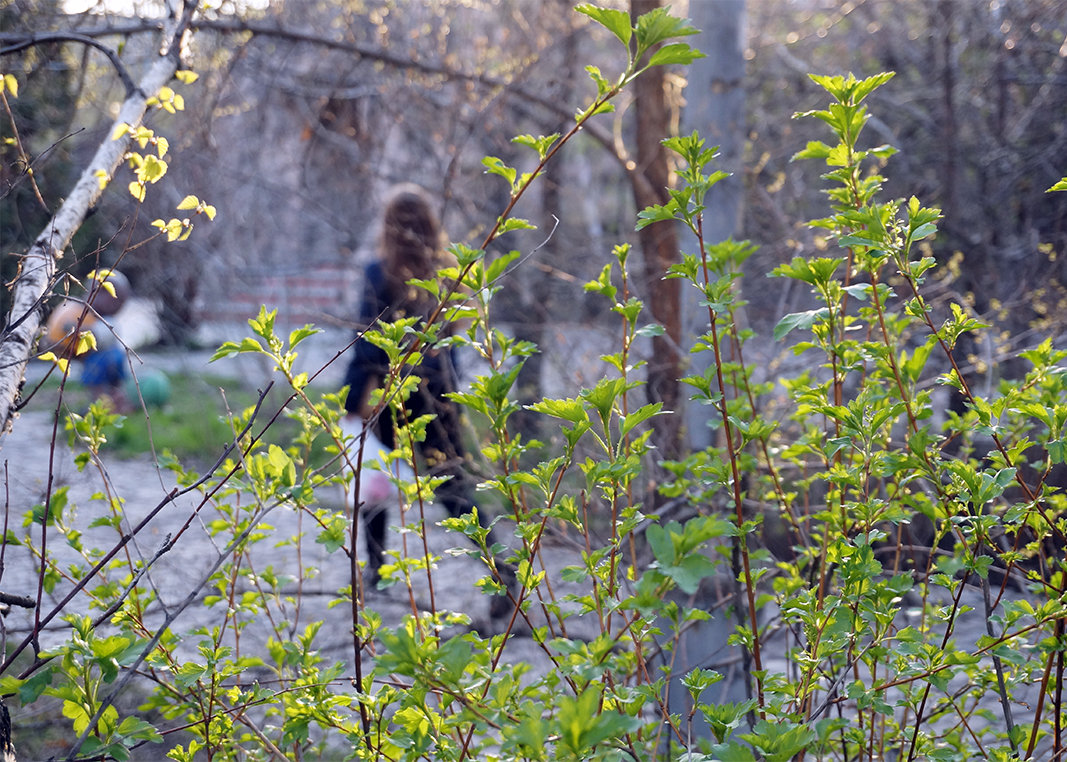 Весна в городе - Екатерина Торганская