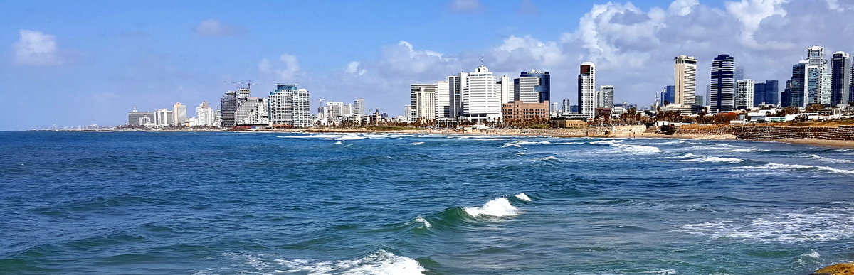 vit5 Tel Aviv - Vitaly Faiv