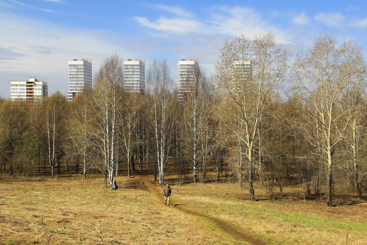 В парке - Галина Новинская