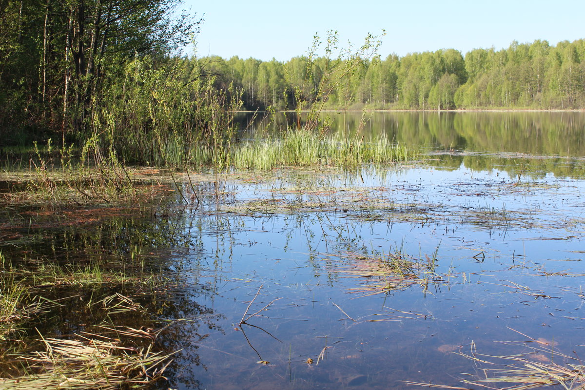 вода - Светлана Рябова 