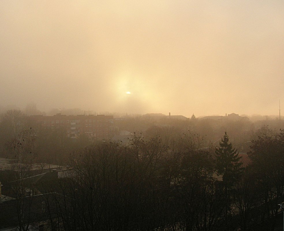 Туман с подсветкой - Syntaxist (Светлана)