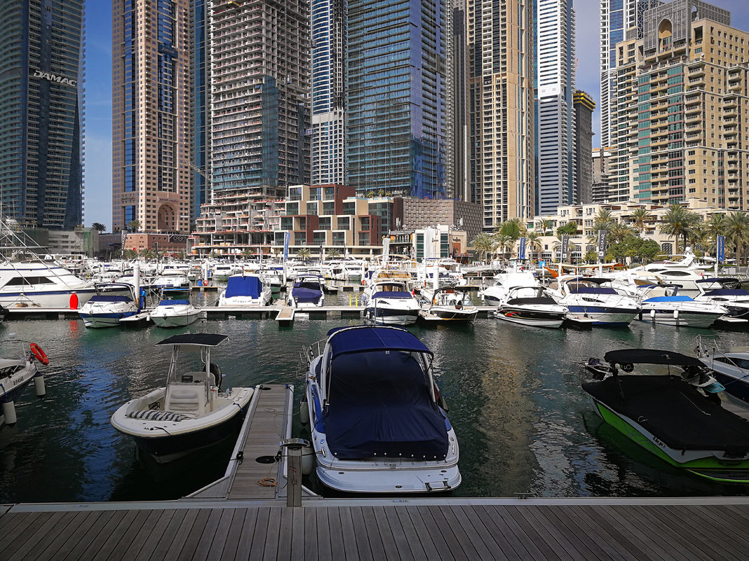 Dubai Marina - Alex 