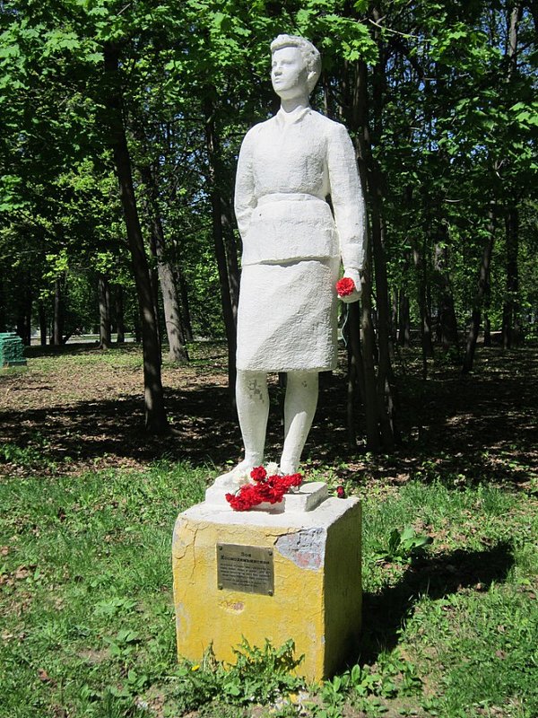 Цветы народной героине - Дмитрий Никитин