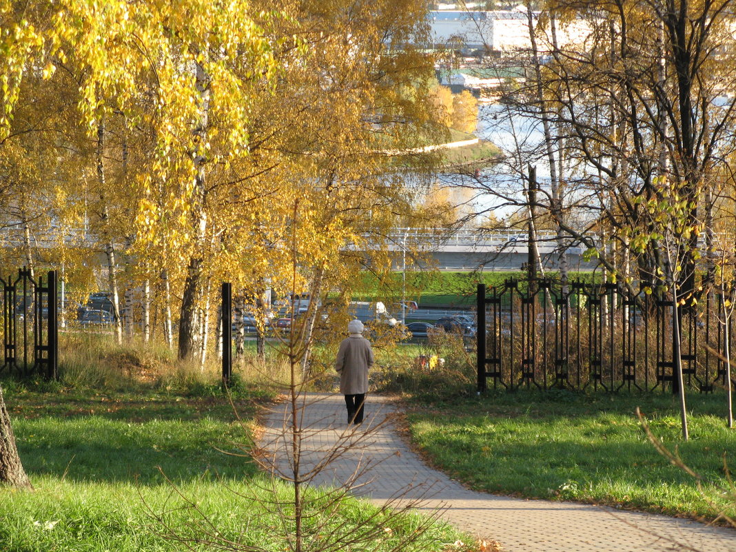 *** - Владимир Безбородов