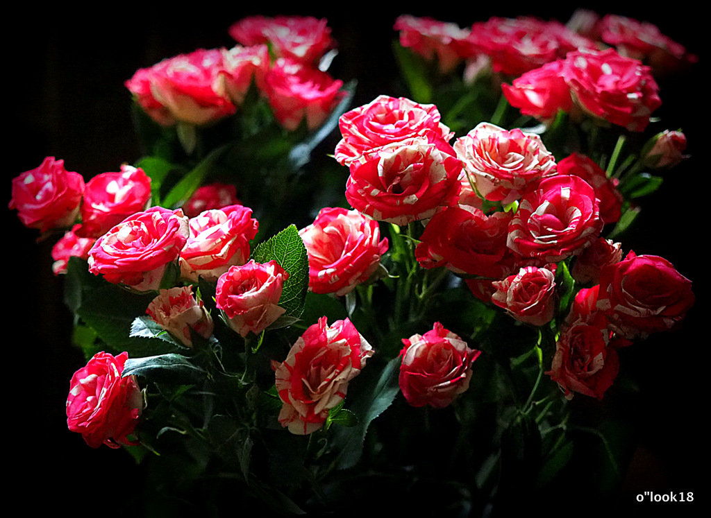 розы для любимых - Олег Лукьянов
