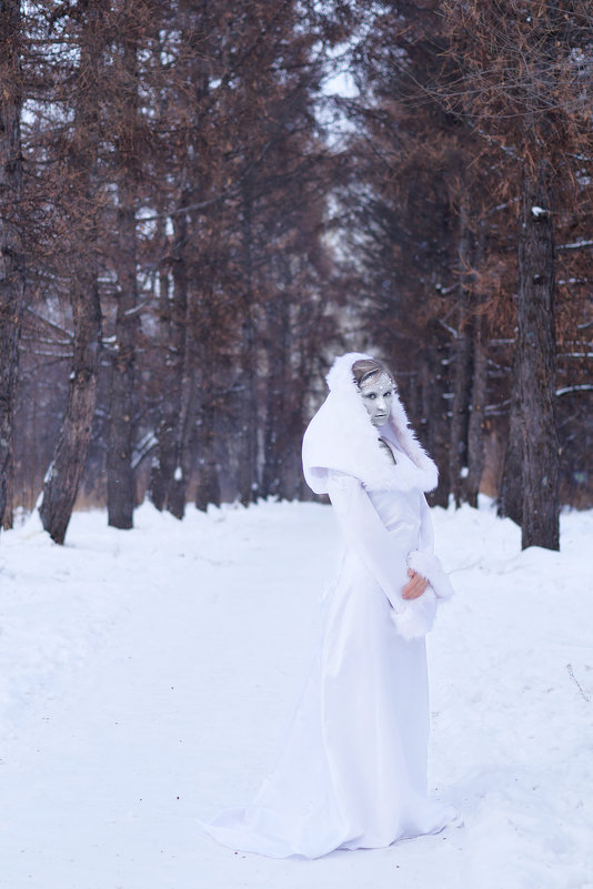 Леди Зима - Анастасия Сапронова