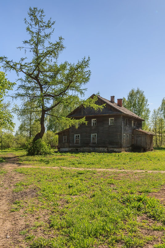 *** - Наталья Кузнецова