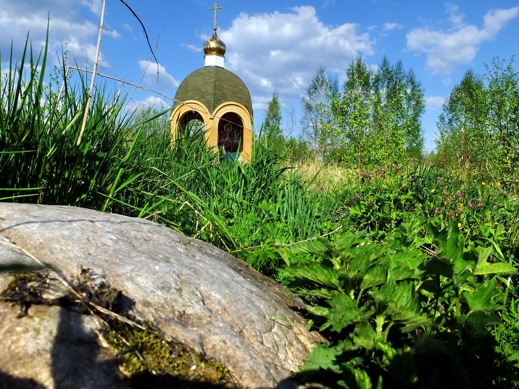 Святой источник возле деревни Власово,подмосковье - Лариса Терехова 