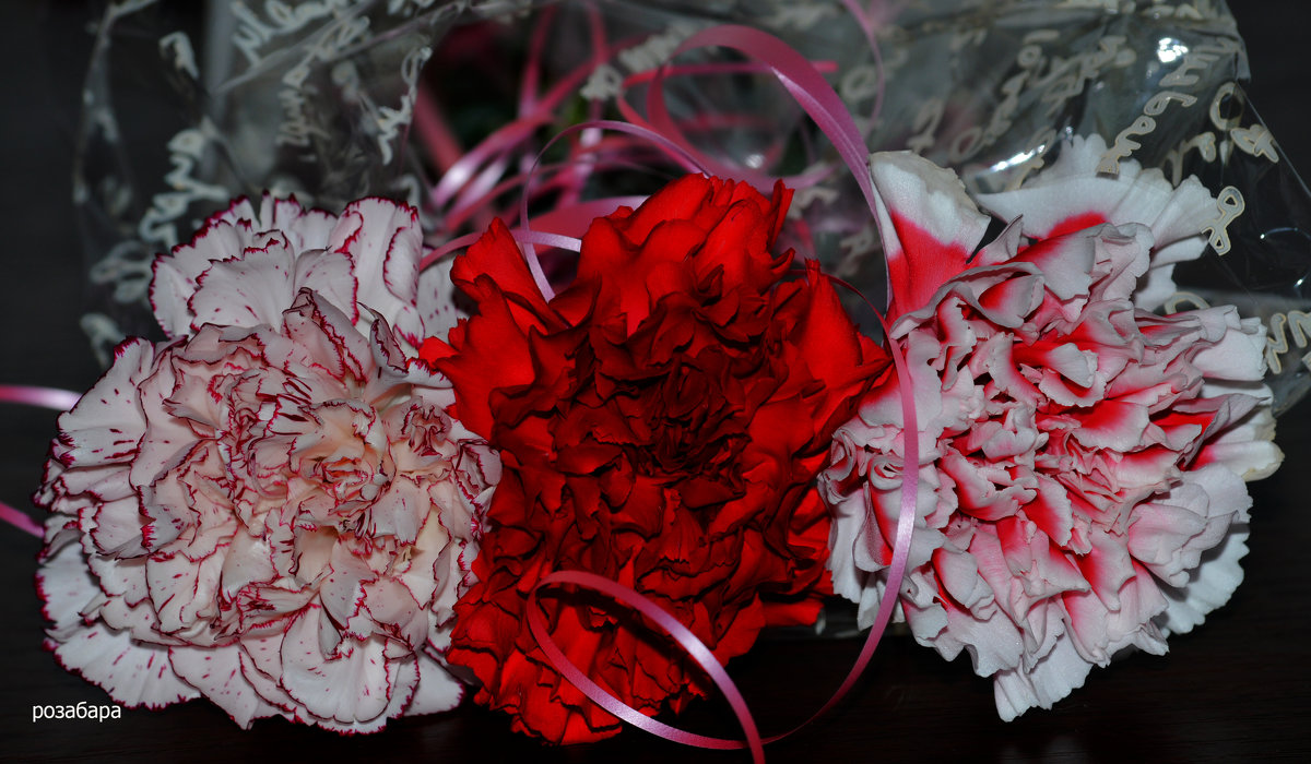 цветы для Мари - Ксения Забара