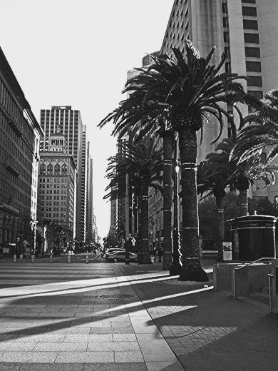 улица в Сан-Франциско - Елена 
