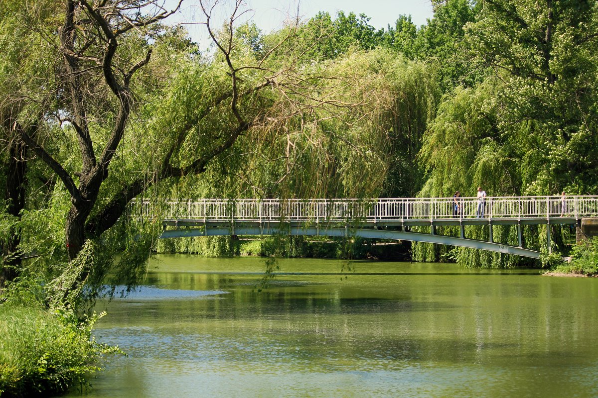 Парк, мост, пейзаж. - barsuk lesnoi