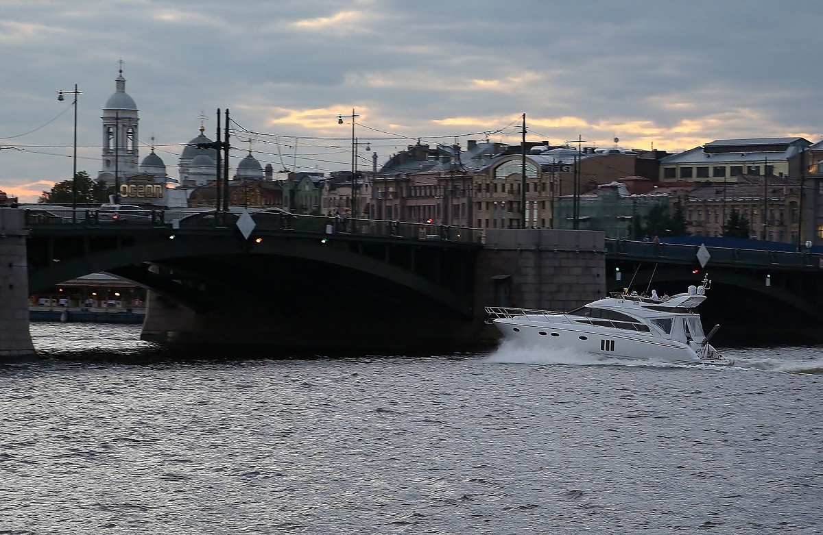 Биржевой мост. Вид на Петроградскую сторону - Елена Разумилова