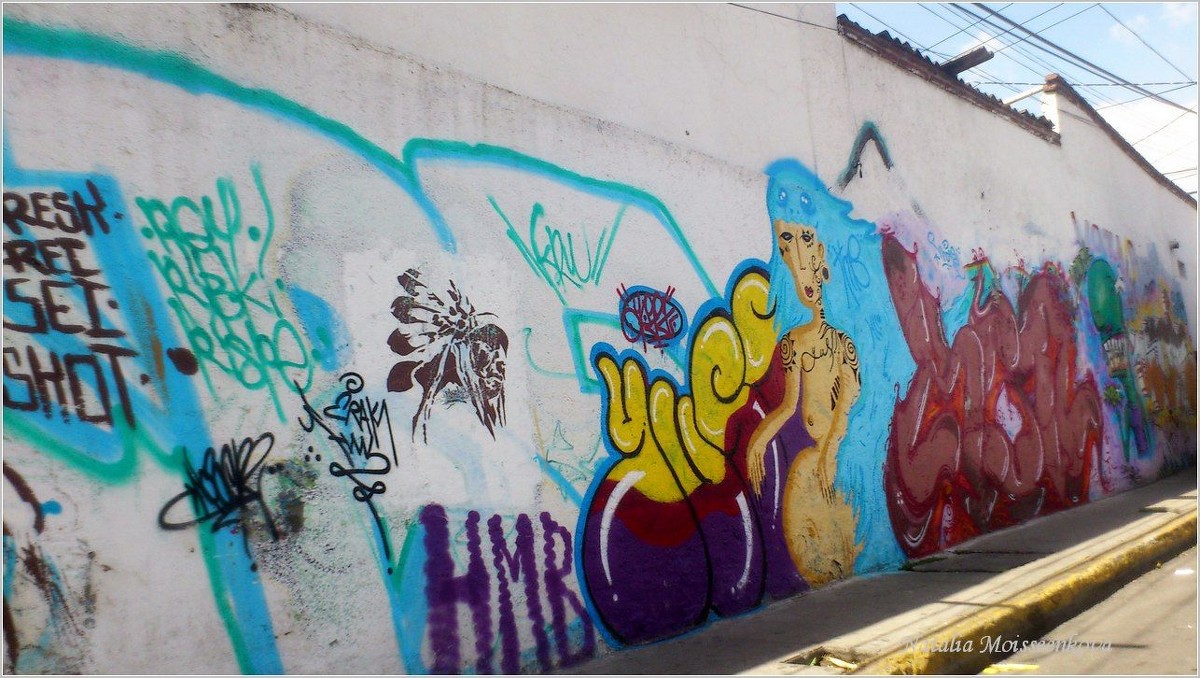 Графити на мексиканский манер.:-) - Наталья Портийо