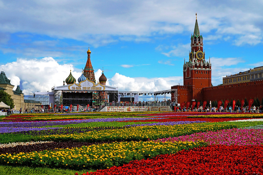 Цветы на Красной площади - Надежда Лаптева