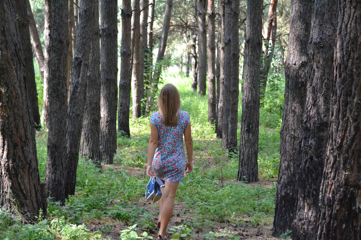 выезд в лес - Алина Кириенко 