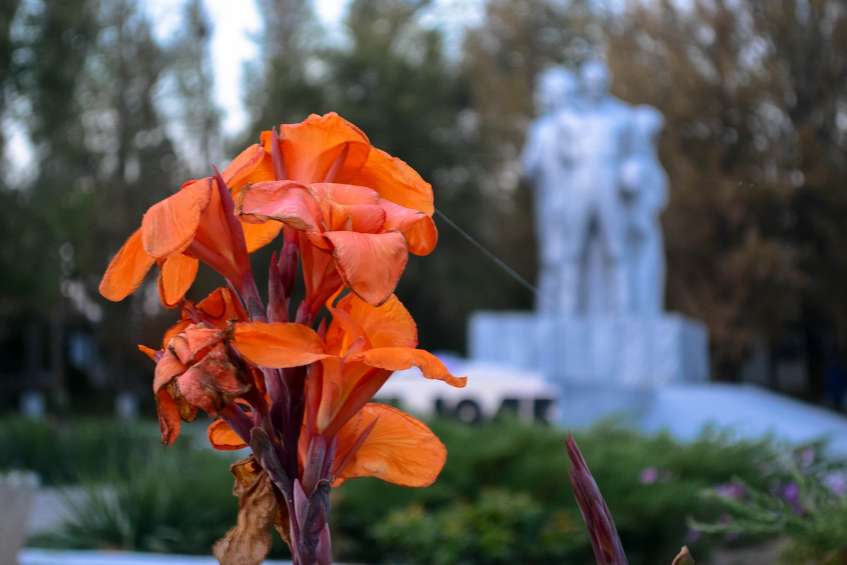 в городе - Наталья М