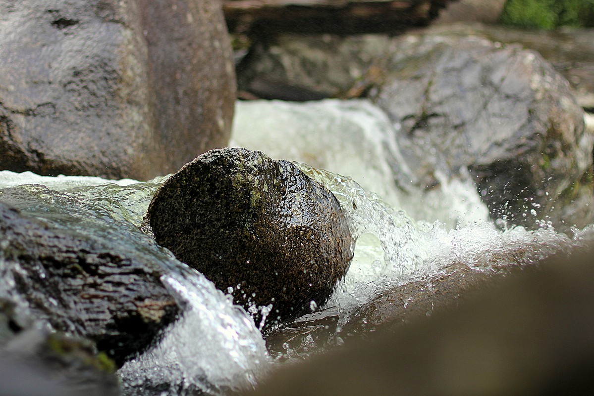вода камень точит - Олеся Селиванова