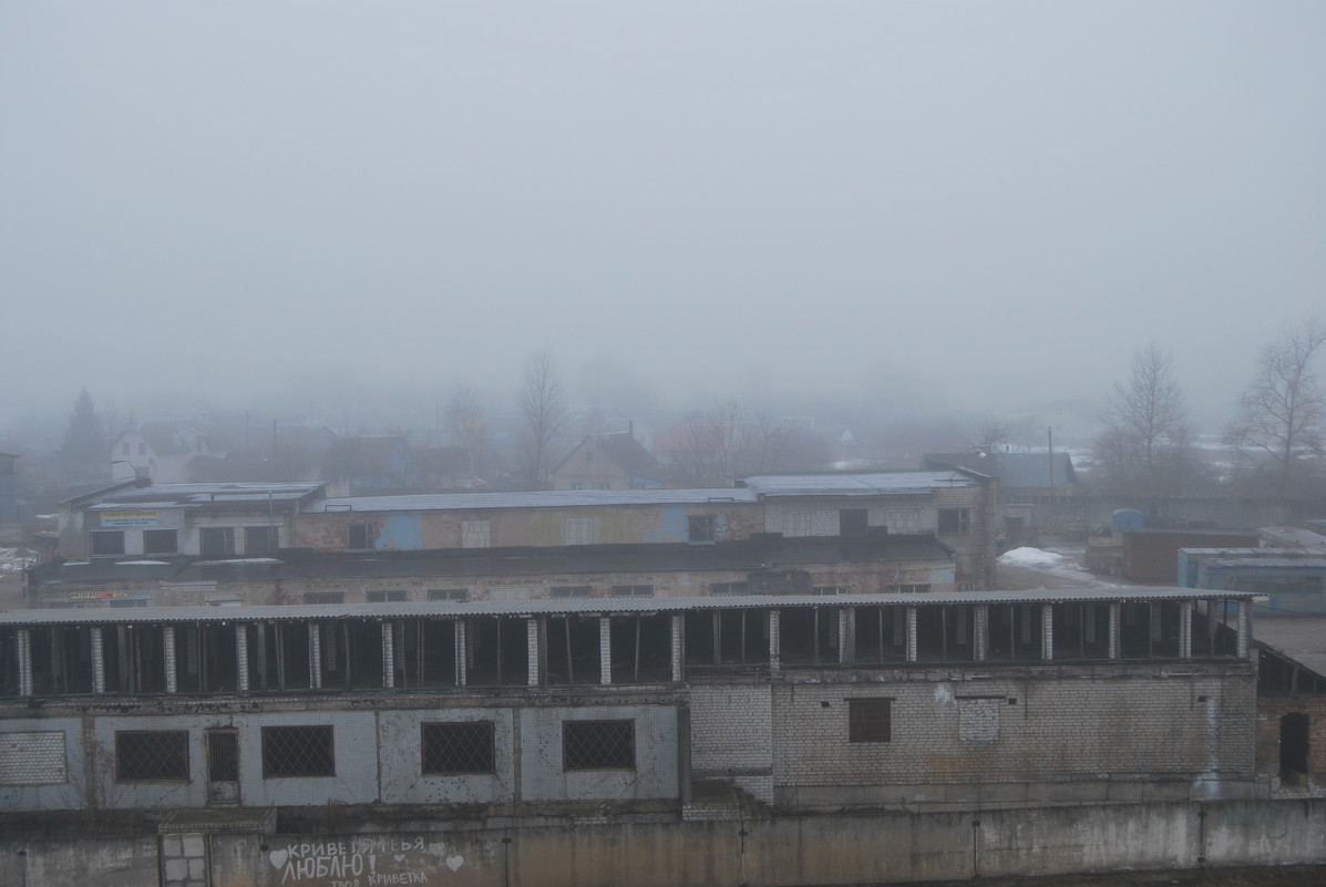 В тумане - Анастасия Ковалёва