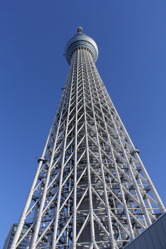 Токийская башня - Ирина Шульга