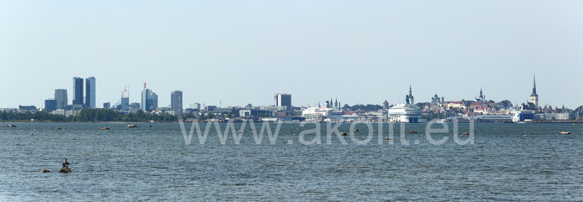 Fotostuudio Akolit,Tallinn - Аркадий  Баранов Arkadi Baranov