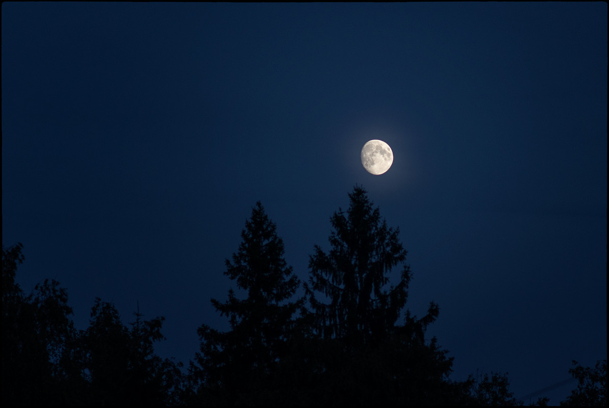 Почти полная луна - Анастасия Kashmirka