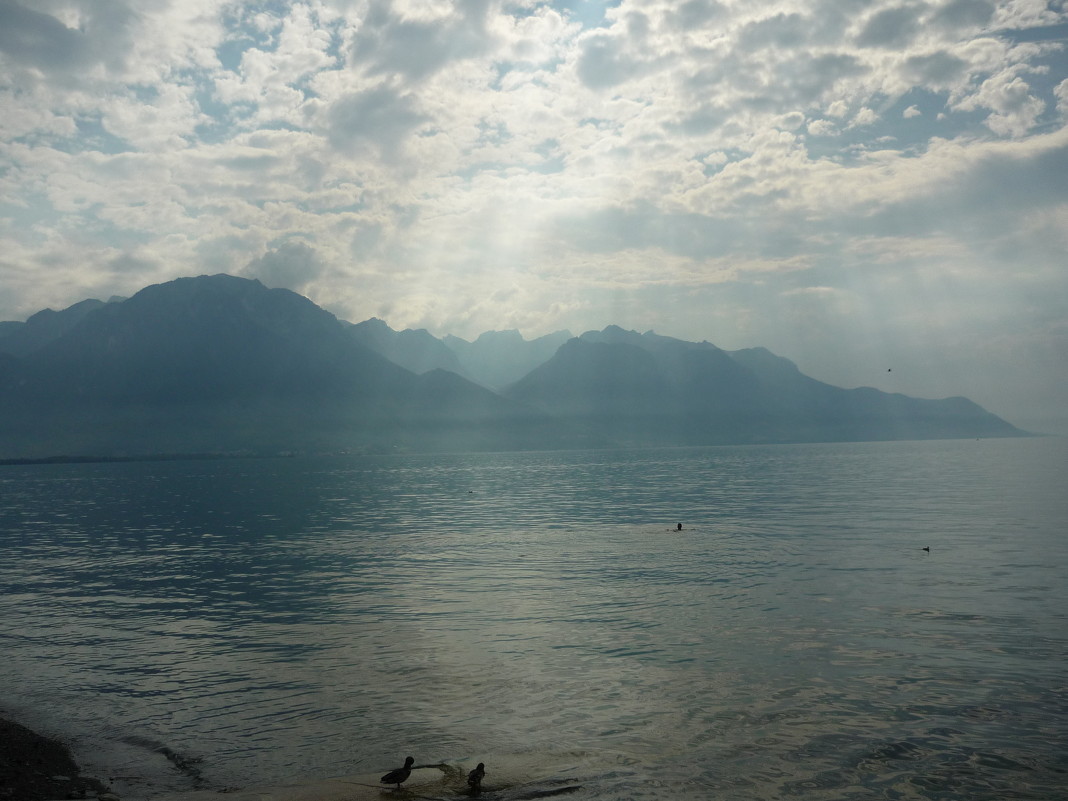 Lac de Genève - Ольга ****