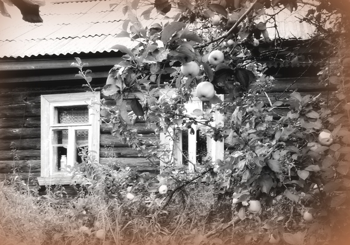 Заброшенный дом - Маруся Маруся