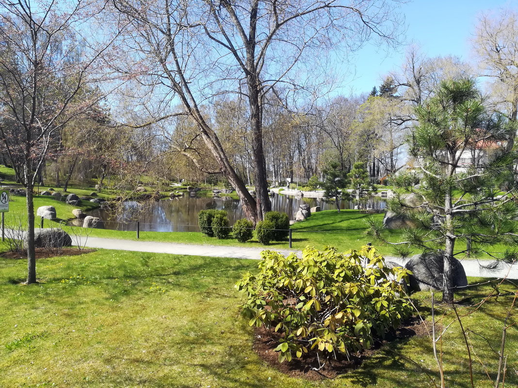 Японский сад в таллинском Кадриорге - veera v