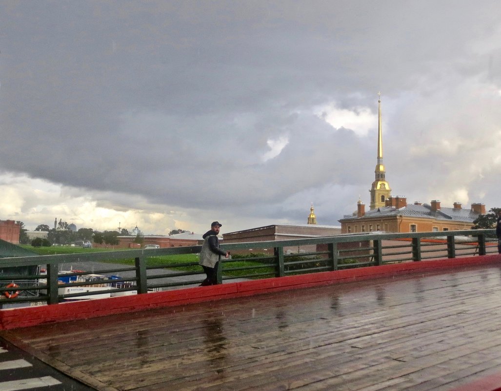 Кронверкский мост в мокрую погоду - Елена 