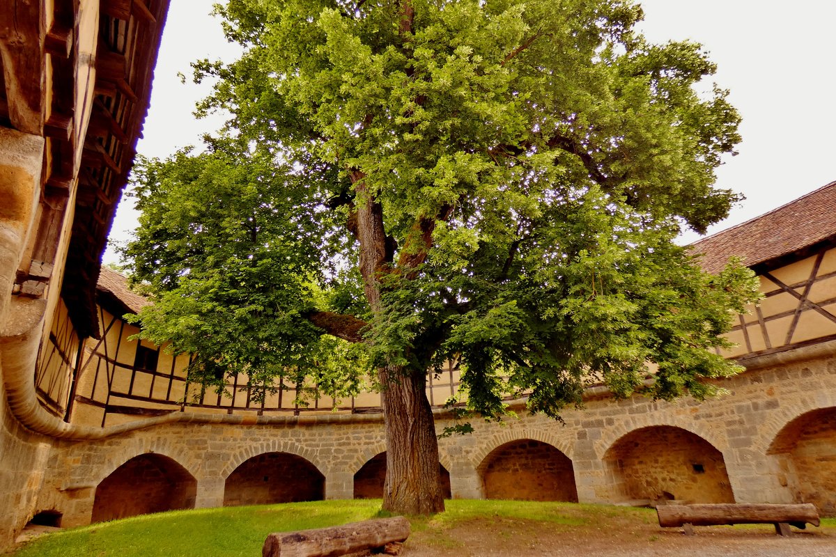 Неприступный Госпитальный Бастион (нем.Spital Bastion). - backareva.irina Бакарева